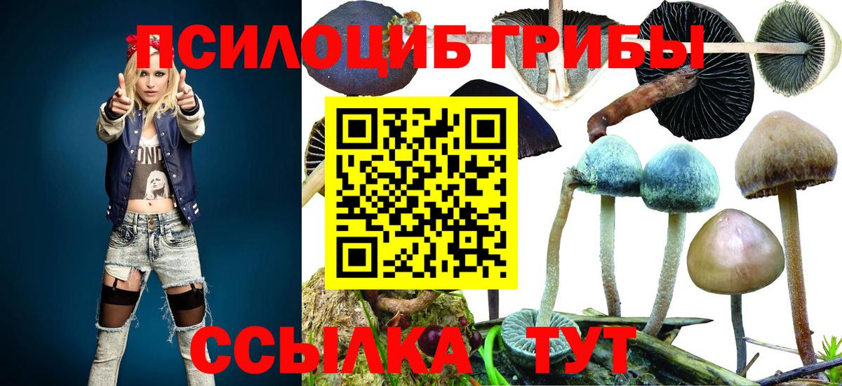 Галлюциногенные грибы мицелий Гай