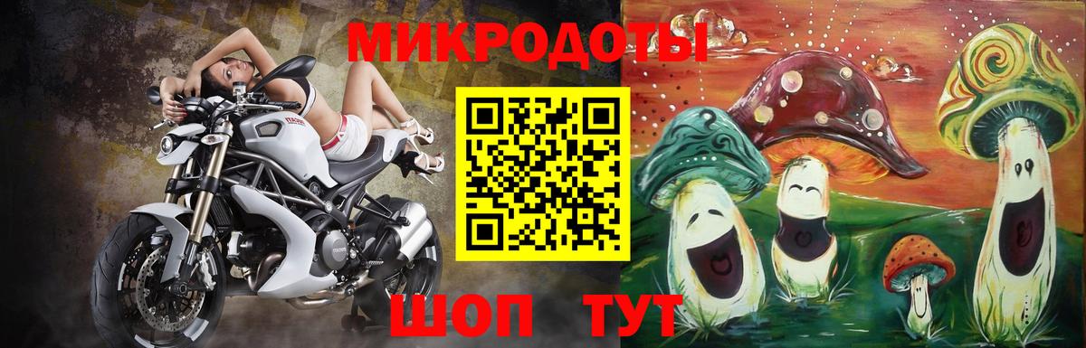 Галлюциногенные грибы MAGIC MUSHROOMS  Вход с VPN  Гай  Галлюциногенные грибы Psilocybine cubensis 