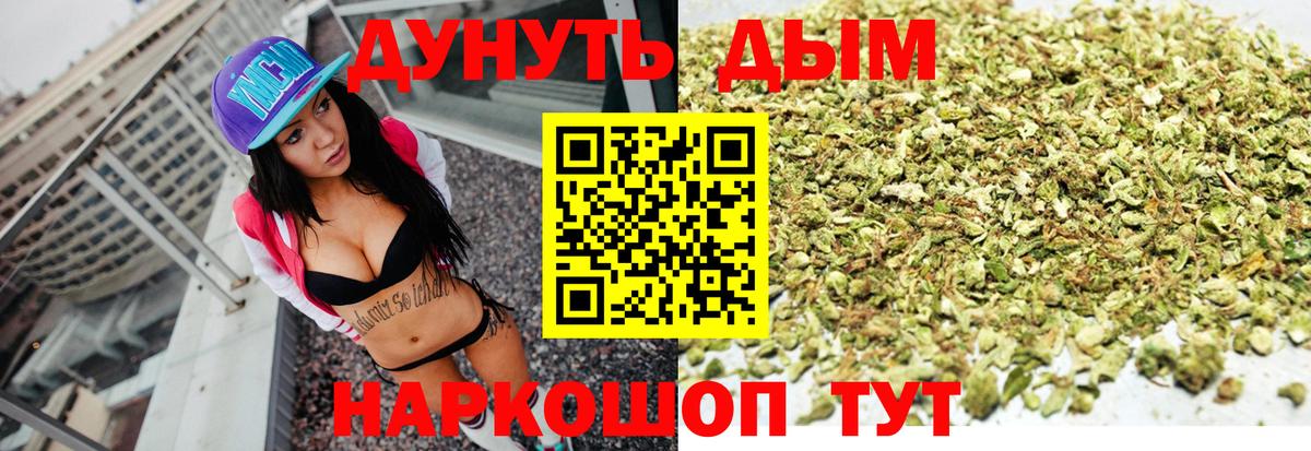 Канабис SATIVA & INDICA Гай